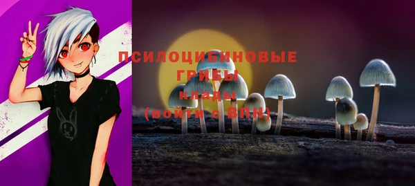 гашик Иннополис