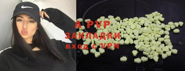 дживик Зерноград