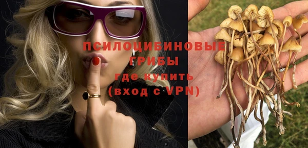дживик Зерноград