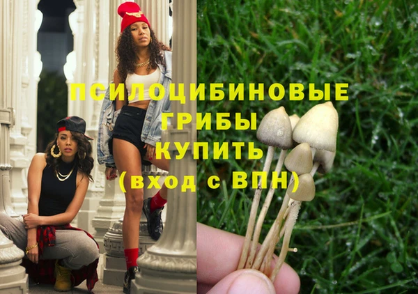 дживик Зерноград